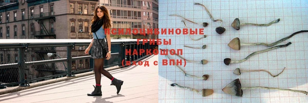 стаф Володарск