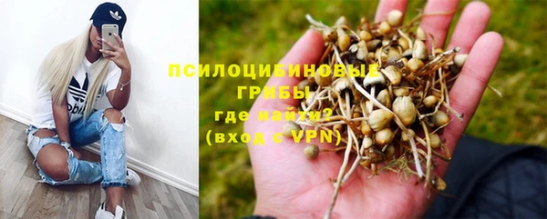 мет Новозыбков